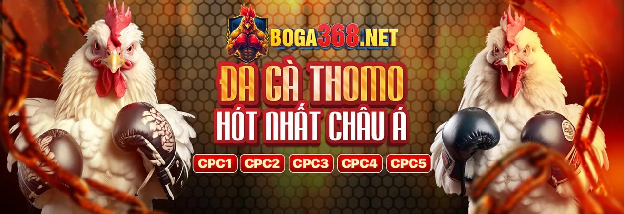 Hướng dẫn nạp rút tiền Daga 67 an toàn và nhanh chóng
