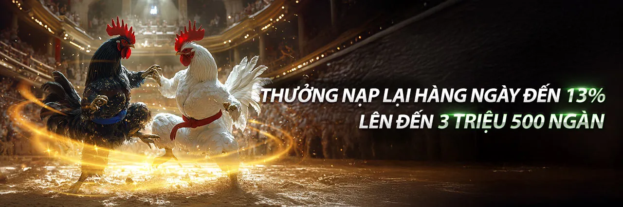 Sân đấu đá gà trực tuyến sôi động tại daga 67