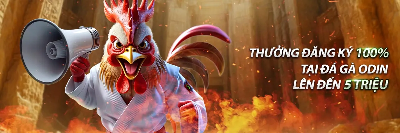 Đá Gà Trực Tuyến Sôi Động - Nền Tảng Giải Trí Hàng Đầu 2026